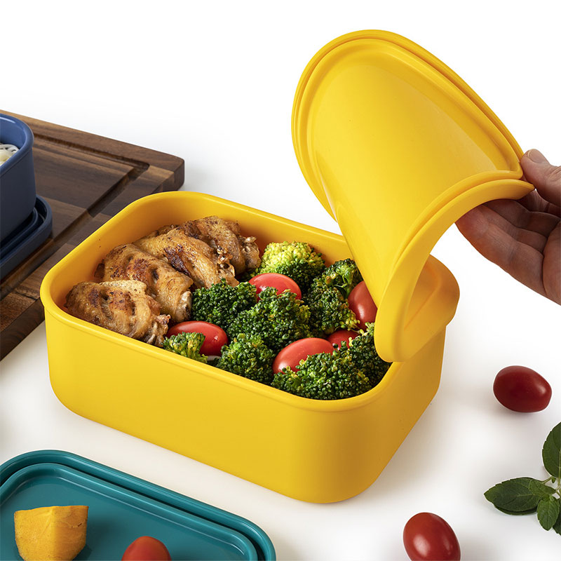 Food-grade Silicone Lunch Box  - Food And Snacks For Picnic review and price